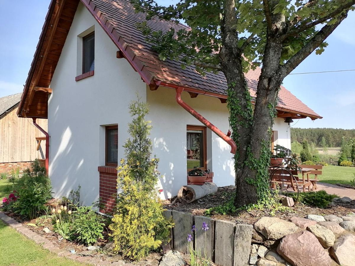 Domek Czerwony Kapturek Villa Plocice Ngoại thất bức ảnh